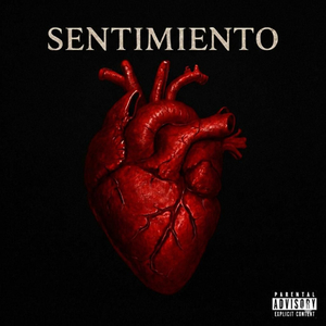 Sentimiento