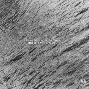 Tense (Unam Zetineb Remix)