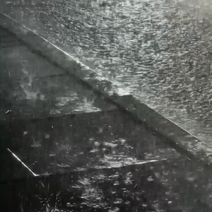 遗憾皆在风雨中