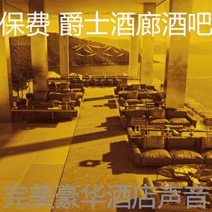 温和酒吧酒店梦想