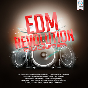 Losing Control (feat. Ashley Michelle) [Ferry Edit]