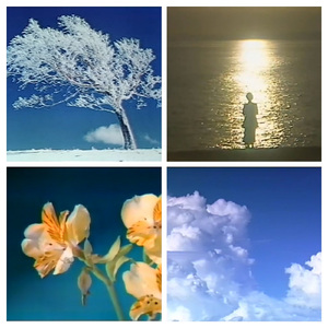 1月14日​(​火)