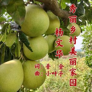 秀丽乡村美丽家园-男版