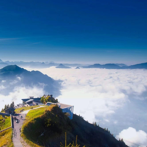 相约一九九八 (调理养生音乐)