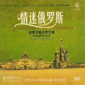 莫斯科郊外的晚上