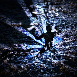 Energizing the Uprising