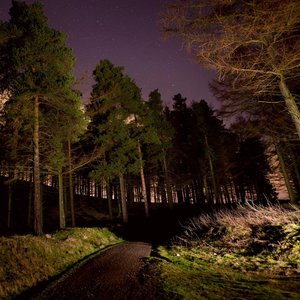 We Can Do What We Want