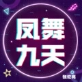 凤舞九天 (张伦亮Remix)