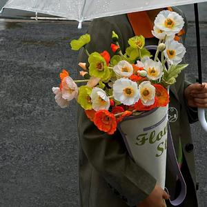 会飞的韭菜盒子