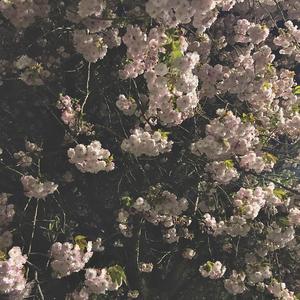 August (feat. eunhae)