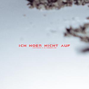 ich hör nicht auf (feat. sadtxnshi)