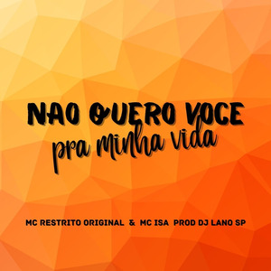 Não Quero Você pra Minha Vida