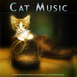 Music For Pets