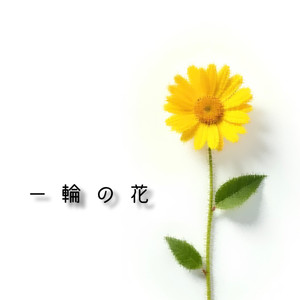 一輪の花