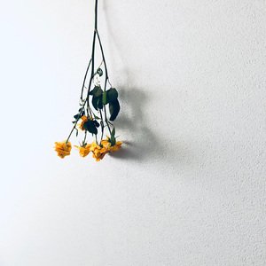 素晴らしい世界