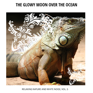 Night Swamps Water Noise