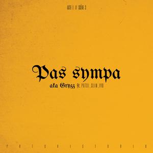 Pas sympa (feat. Patxi, S L I M & Ivo)
