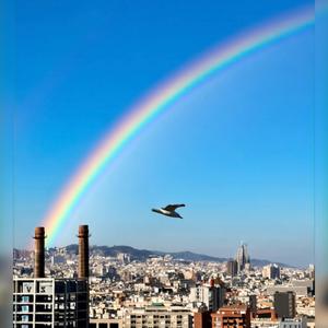 Cerca del cielo