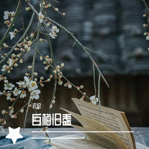 白梅旧盏（翻自 慕寒）