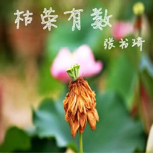 枯荣有数(Prod by YXT）