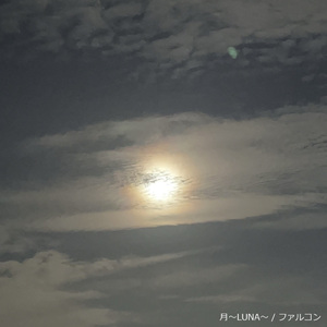 月~LUNA~