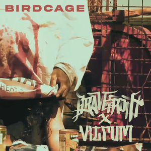 Birdcage