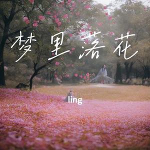 梦里落花