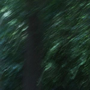 Thousand years later