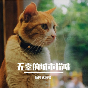 总有一天你会出现在我身边(Demo)-单人乐队版