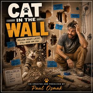 Cat in the wall