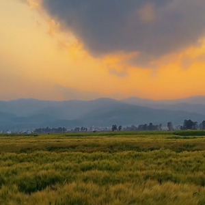 失之东隅 收之桑榆