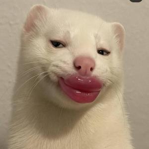 Madharau (feat. Ngosha classic)