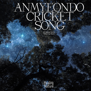 가을밤을 조용히 울리는 귀뚜라미 소리