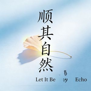 2026 顺其自然 wav