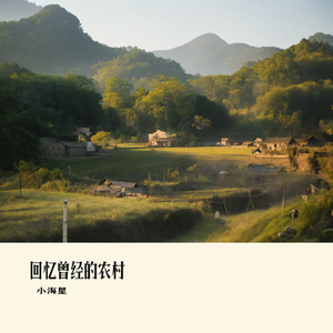 回忆曾经的农村 片段(刘德华 ）