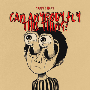 Can anybody fly this thing?