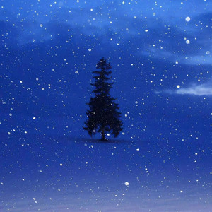 冬的来意雪的秘密