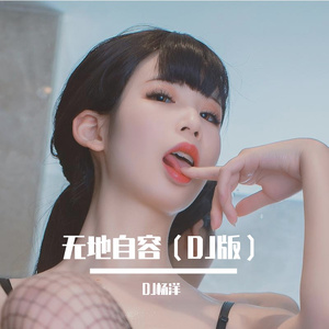 无地自容（DJ版）