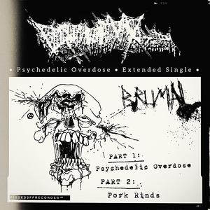Psychedelic Overdose (Extended Single)