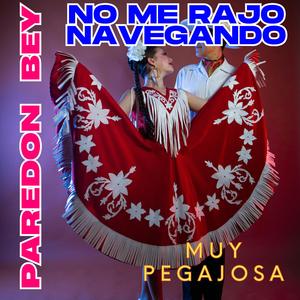 NO ME RAJO NAVEGANDO