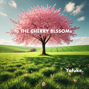 to THE CHERRY BLOSSOMs