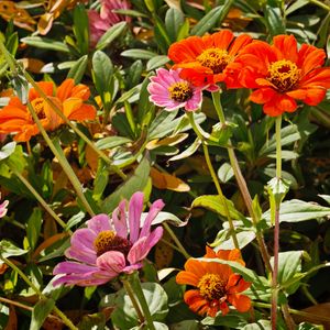 让你左右我的情绪