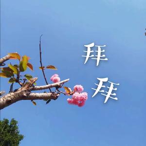 拜拜（翻自 浙音4811（一个大金意））