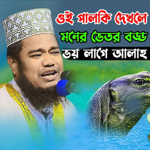 ওই পালকি দেখলে মনের ভেতর বড্ড ভয় লাগে আল্লাহ