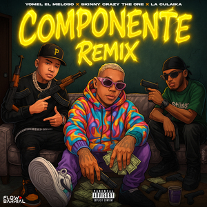 Componente (Remix)
