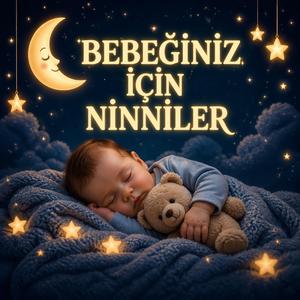 Seni Seviyorum Miniğim