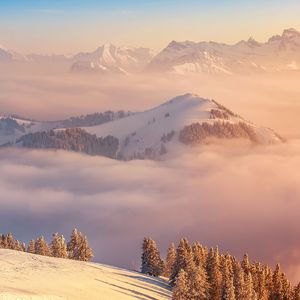 钢琴白噪音引领的入眠之境