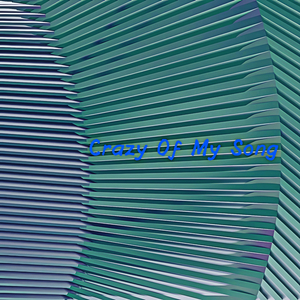 Crazy Of My Song