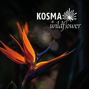 Africana Gloriosa (feat. Wildflower)