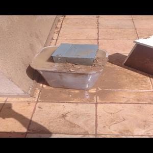 צבע כחול/תמנון (רימיקס)